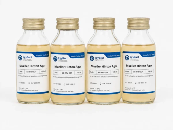 Mueller Hinton Agar