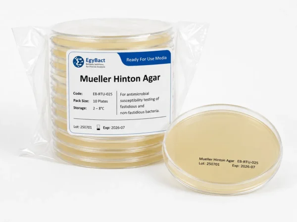 Mueller Hinton Agar