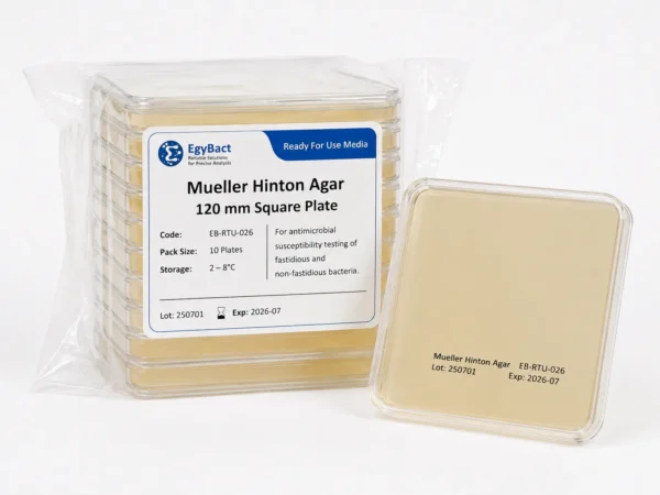 Mueller Hinton Agar   Squar plate