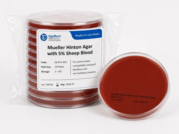 Mueller Hinton Agar with 5% Sheep Blood
